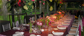 Vatelia Catering - Cont�ctenos en 91 781 65 65